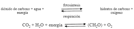 tabla07.png