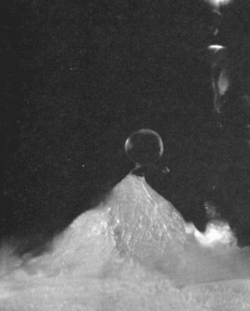 046.jpg