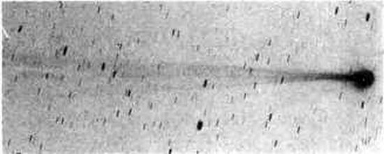 145.jpg