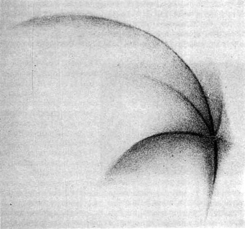 163.jpg