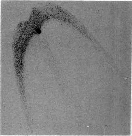 168.jpg