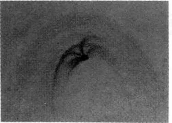 169.jpg