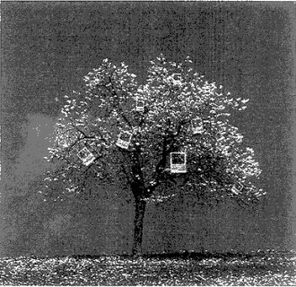 057.jpg