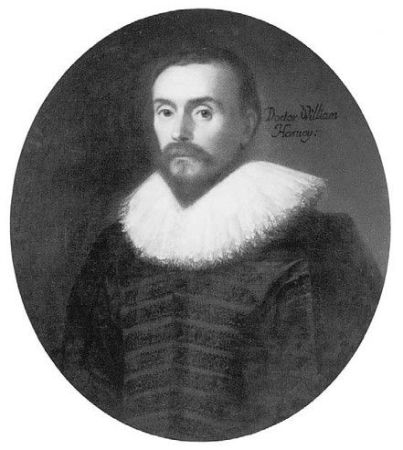 00105.jpg