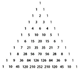 119.jpg