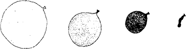 002.png