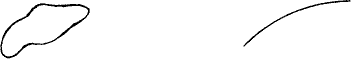 050.png