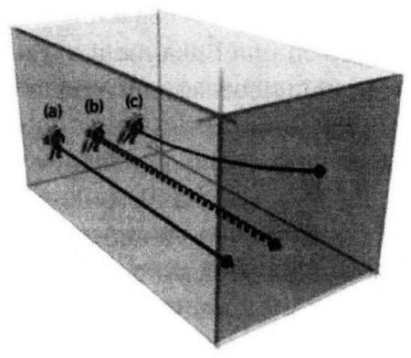 011.jpg