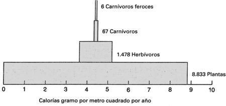 03-15.jpg