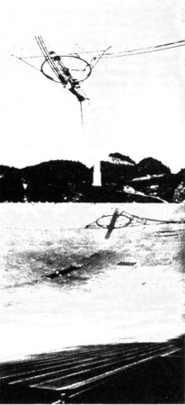 113.jpg