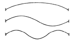 129.jpg