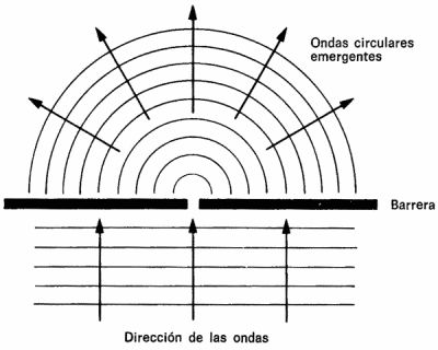 img001.jpg