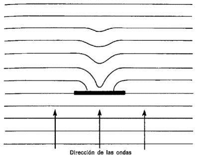 img003.jpg