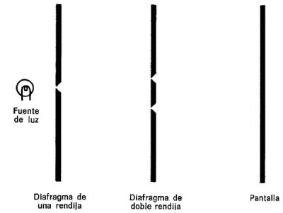 img004.jpg