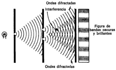 img006.jpg