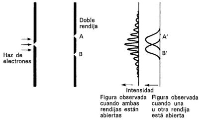 img018.jpg