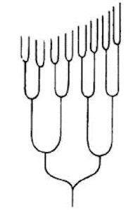 img053.jpg