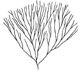 img054.jpg