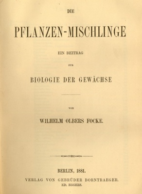07.jpg