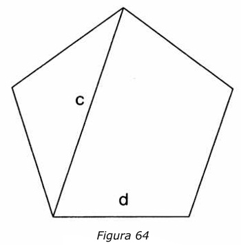 64.jpg