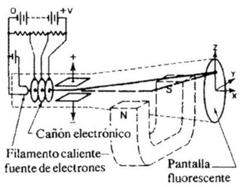 194.jpg