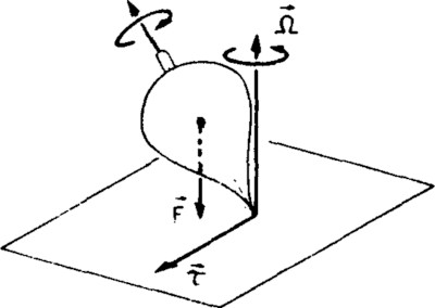 437.jpg