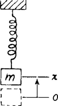 447.jpg