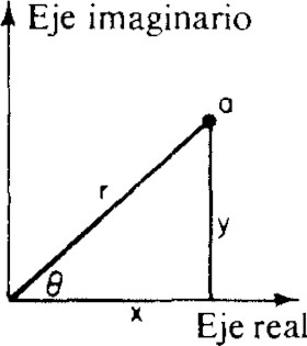 471.jpg