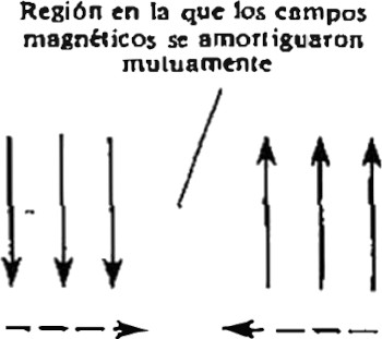 050.jpg