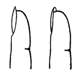 120.jpg