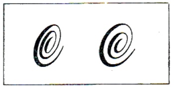 124.jpg