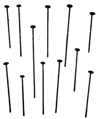 141.jpg