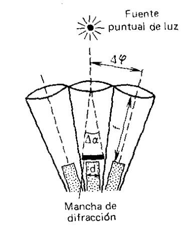 Esquema explicativo para el análisis de las dimensiones del omatidio unitario y de las relaciones entre los elementos vecinos del ojo compuesto. Con los puntos se ensombrece el bastoncillo visual
