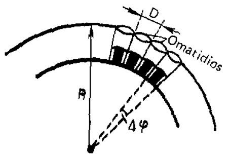 Esquema explicativo para el cálculo de la relación (8)