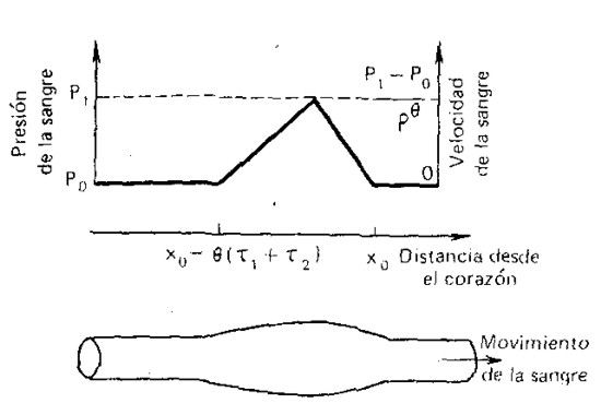 Arriba, distribución de la presión y de la velocidad de la sangre a lo largo de la arteria al cabo del intervalo x0/Q después del comienzo de la expulsión de la sangre desde el corazón hacia la aorta. Abajo, representación esquemática de la dilatación de la arteria al propagarse la onda pulsátil
