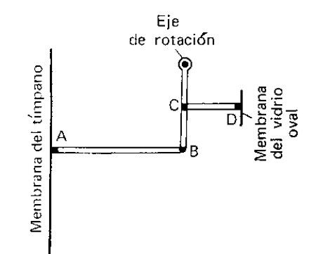 Equivalente mecánico del oído medio