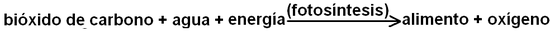 02.png