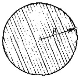 142.jpg