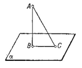 166.jpg