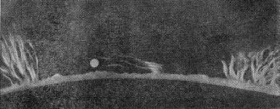 Protuberancias en el Sol durante el eclipse del 28 de mayo de 1900. El círculo blanco muestra las dimensiones de la Tierra en la misma escala. Su diámetro es de 12.750 kilómetros.