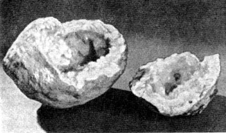 Geoda de celestina partido en dos trozos