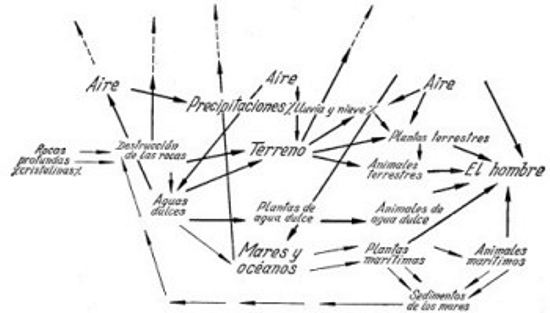 Ciclo del yodo