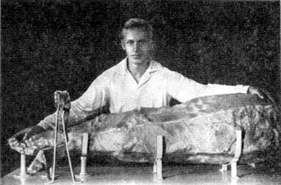 Cristal de berilio de gran tamaño