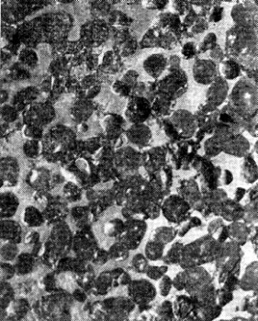 Meteorito Hierro pallasítico hallado al sur de Krasnoyarsk en 1749. Se ven las granulaciones de olivino en el hierro metálico