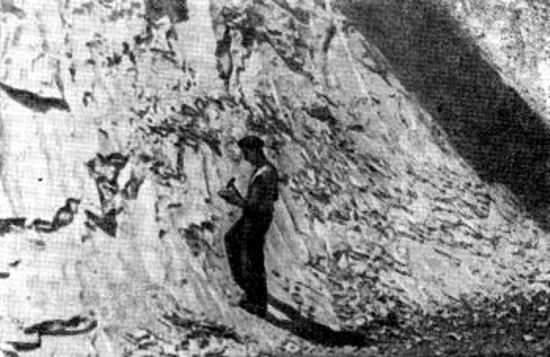 Un geoquímico estudia los afloramientos rocosas consistentes en torrentes de lava solidificados
