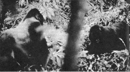 041.jpg