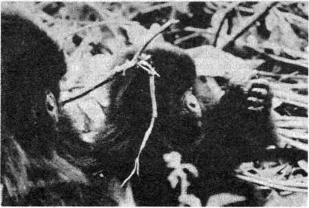 050.jpg