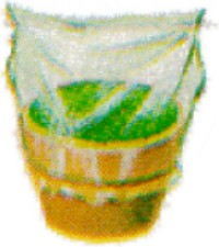fig04_03.jpg