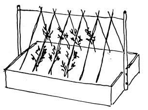 fig06_01.jpg