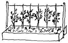 fig06_02.jpg